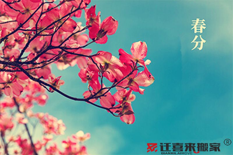 春分節(jié)氣.jpg
