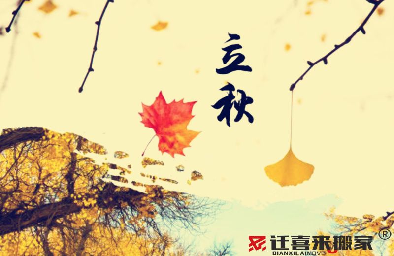 立秋節(jié)氣.jpg