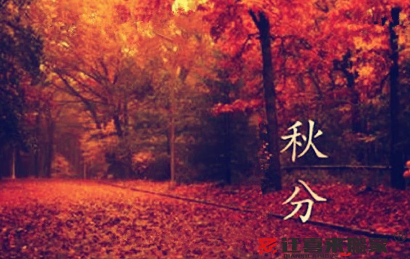 秋分節(jié)氣.jpg