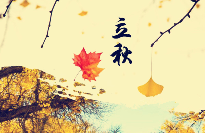 立秋節(jié)氣，搬家公司